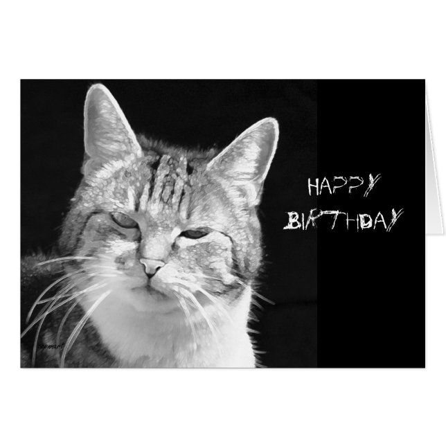 katt hälsningskort (Framsidan Horizontal)