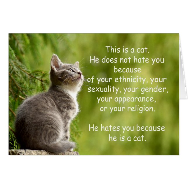 Katt Hälsningskort (Framsidan Horizontal)