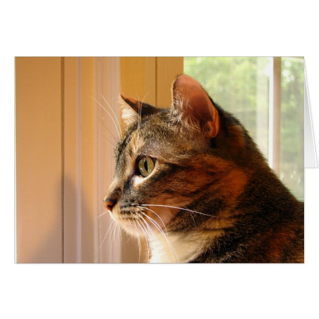 Katt Hälsningskort (Framsidan Horizontal)