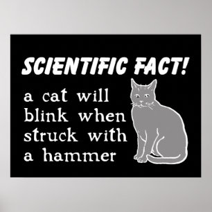 Katt Hammar Rolig Tryckt Affisch Humor
