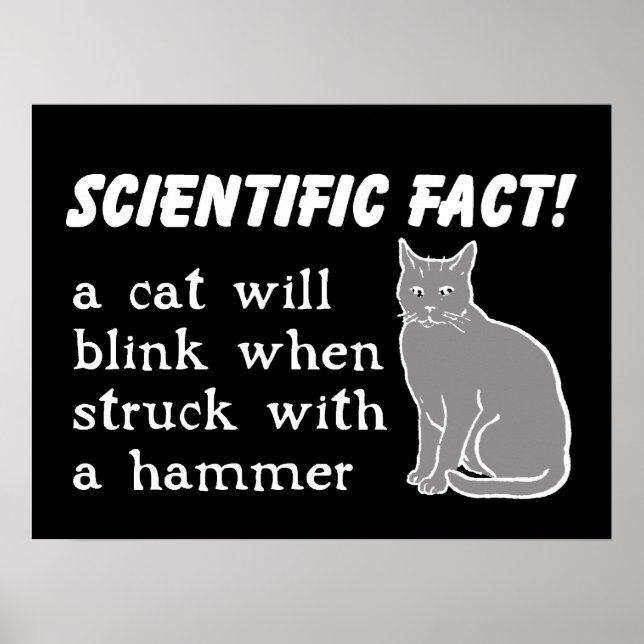 Katt Hammar Rolig Tryckt Affisch Humor (Framsidan)