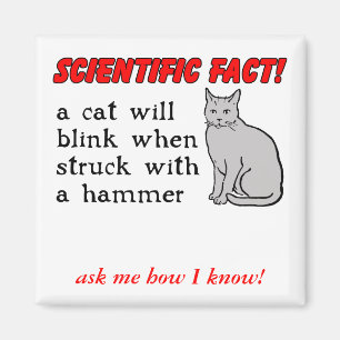 Katt Hammer Rolig Magnet Humor