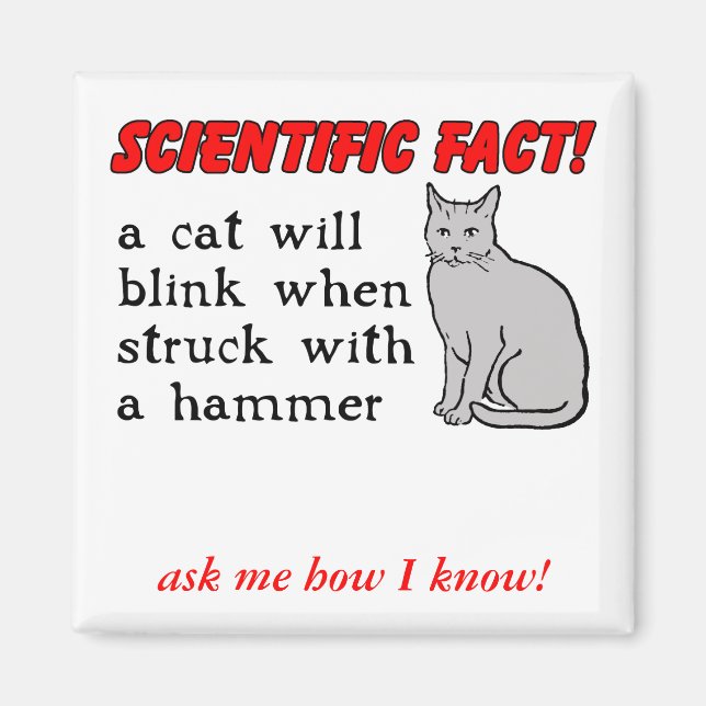 Katt Hammer Rolig Magnet Humor (Framsidan)