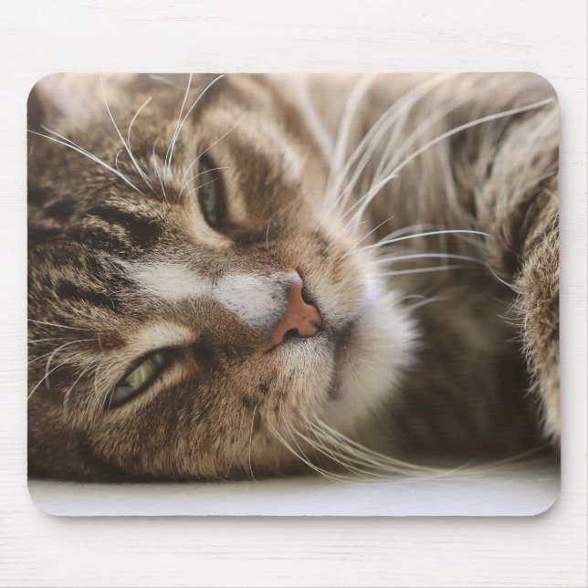 Katt, Hangover, Kattens Öga Musmatta (Framsidan)