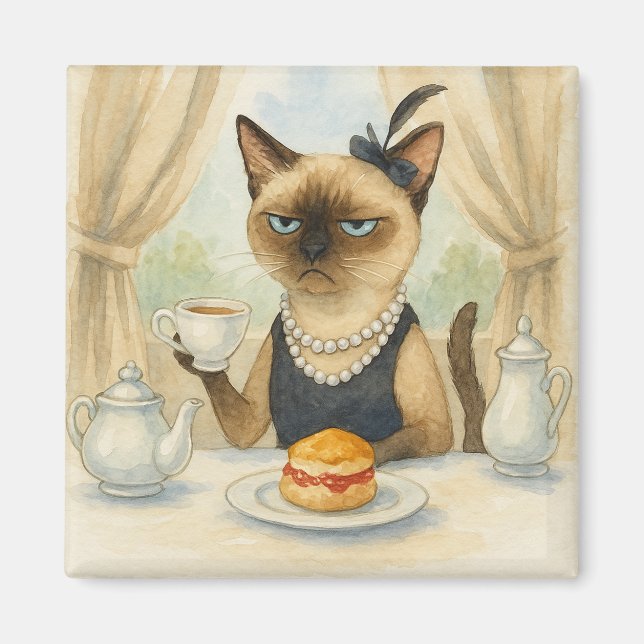 Katt har eftermiddagste magnet (Framsidan)