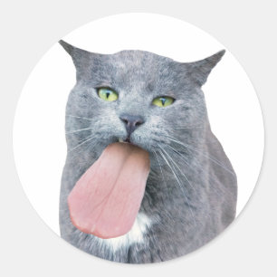 Katt Har Tunga? Klassisk rund etikett