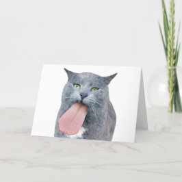 Katt Har Tunga? Kort