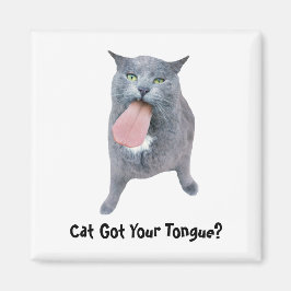 Katt Har Tunga? Magnet