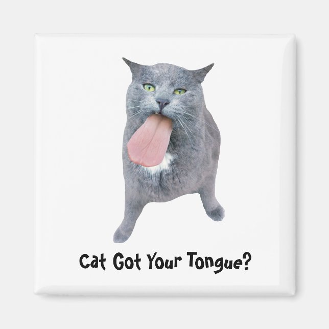 Katt Har Tunga? Magnet (Framsidan)