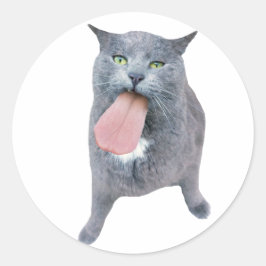 Katt Har Tunga? Runt Klistermärke
