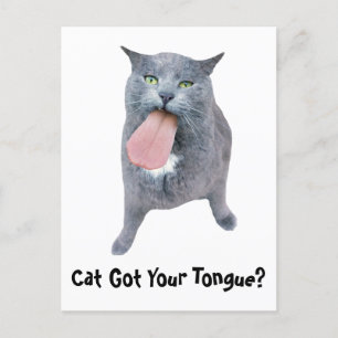 Katt Har Tunga? Vykort