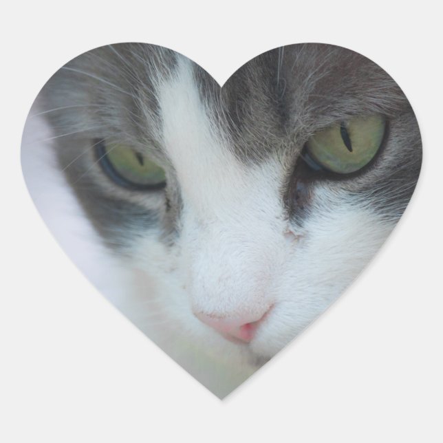 katt hjärtformat klistermärke (Framsida)