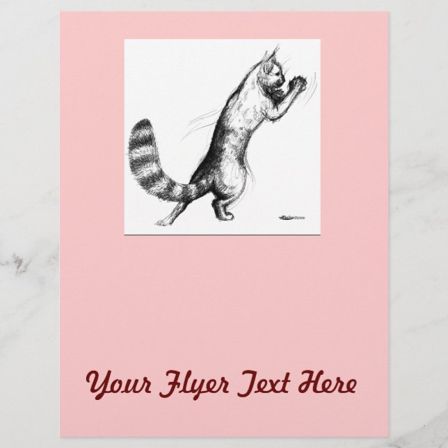 Katt hoppar2 reklamblad (Framsidan)