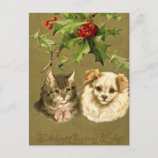 Katt- & hund julkort helg vykort