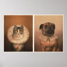 Katt & Hund