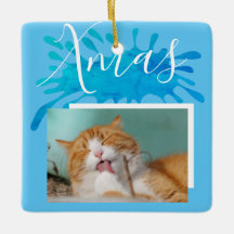 Katt Husdjur Blå Xmas Skrift Jul Foto