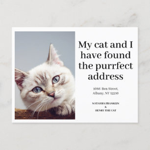 Katt Husdjur Foto Ny Adress Jag Har Bytt Modern Meddelande Vykort