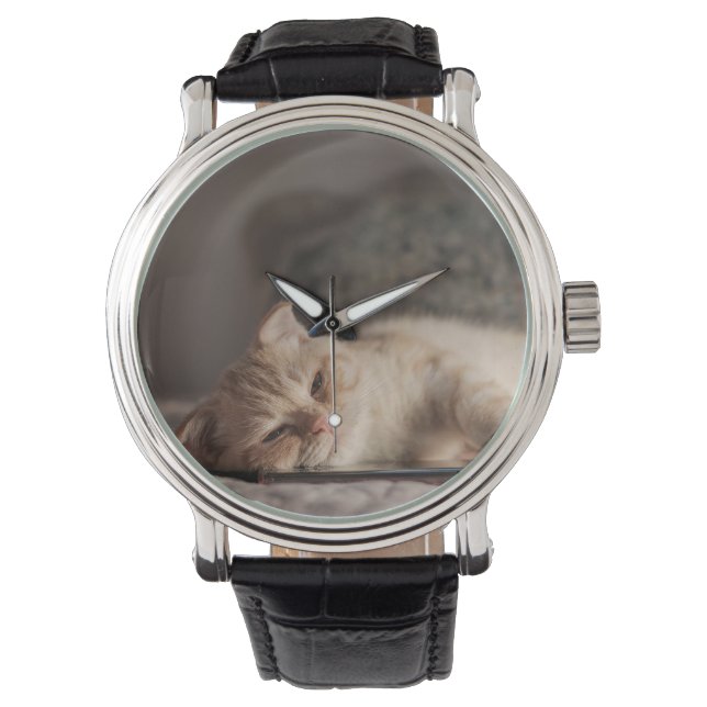 Katt, Husdjur, Kattunge Armbandsur (Framsida)