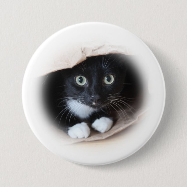 Katt i b-ag knapp (Framsida)
