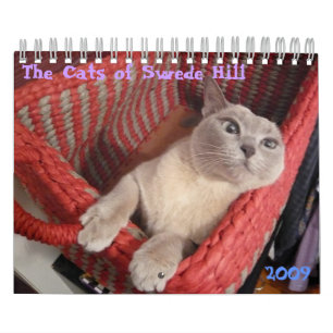 Katt i Backe, 2009 Kalender
