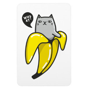 Katt i bananer magnet