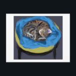 Katt i Bed, Suzanne Valadon Vykort<br><div class="desc">Suzanne Valadon (23 september 1865-7 april 1938) var en Fransk målare född Marie-Clémentine Valadon vid Bessines-sur-Gartempe,  Haute-Vienne,  Frankrike. År 1894 blev Valadon den första kvinnliga målaren inskriven i Société Nationale des Beaux-Arts. Hon var också mor i målaren Maurice Utrillo. citat:Wikipedia</div>