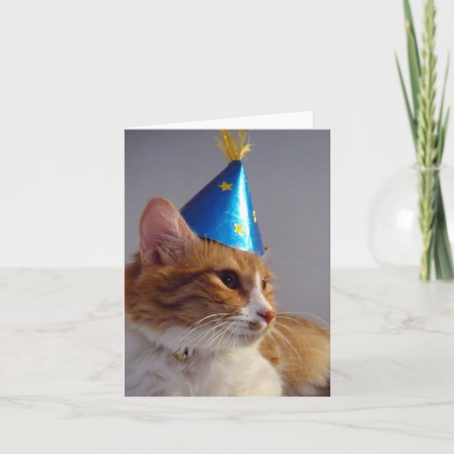 Katt i blå födelsedagsmössa tom anteckningskorta kort (Framsida)