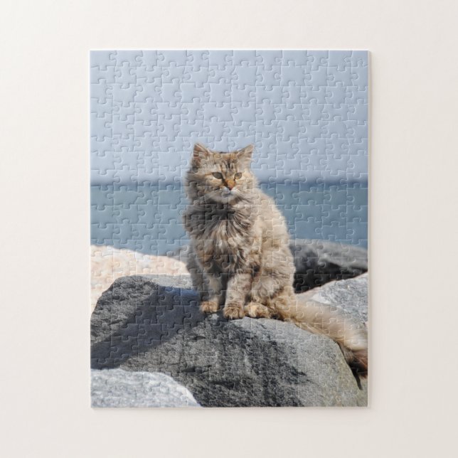 Katt i blåst vid havet pussel (Vertikal)