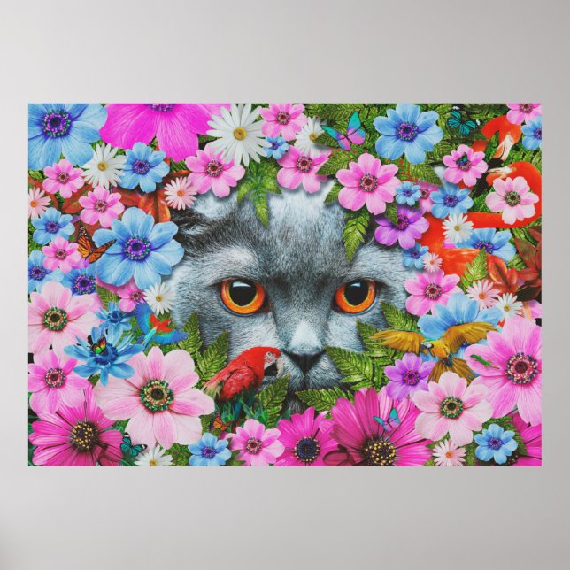 Katt i blomman poster (Framsidan)