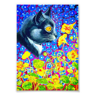 Katt i blommor fototryck
