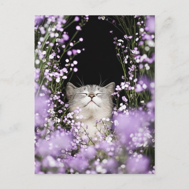 Katt i blommor vykort (Framsida)