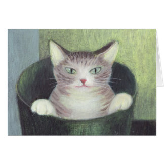 Katt i Bucket OBS Kort