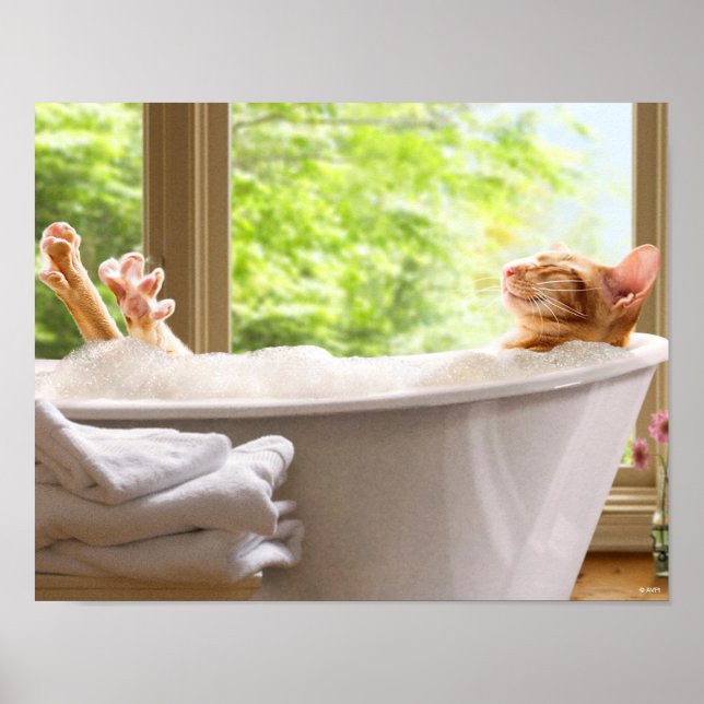 Katt i buckla bath poster (Framsidan)