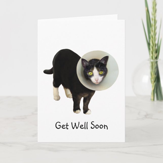Katt i Cone Get well Card Kort (Framsida)