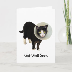 Katt i Cone Get well Card Kort