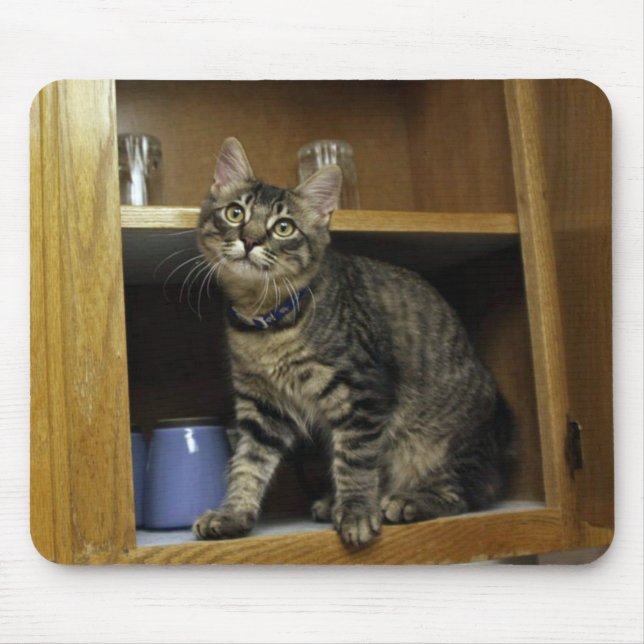 Katt i Cupboard Mousepad Musmatta (Framsidan)