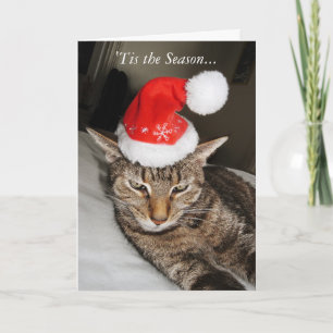 Katt i den roliga Santa hatten Helgkort