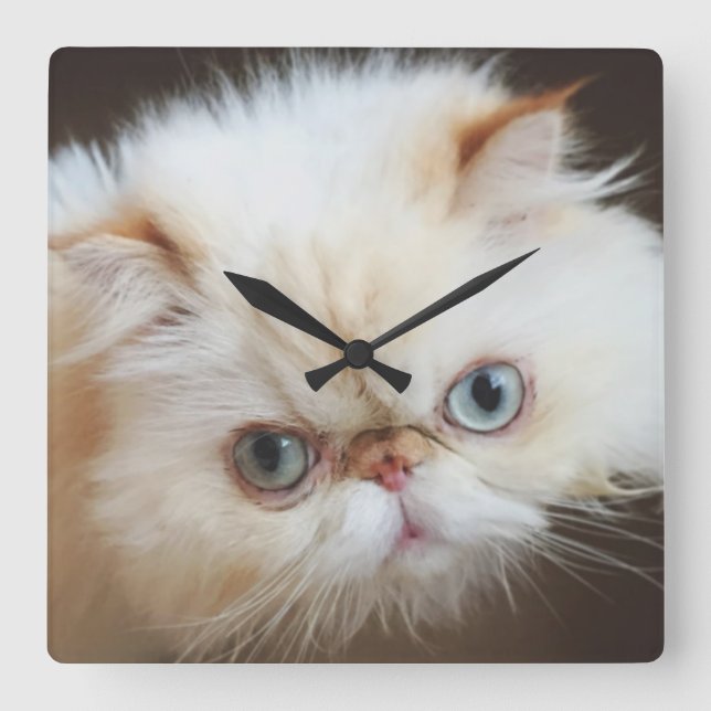 Katt i en boxas fyrkantig klocka (Framsida)