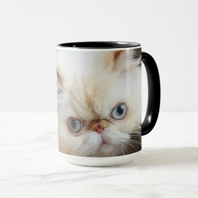 Katt i en boxas mugg (Framsida höger)