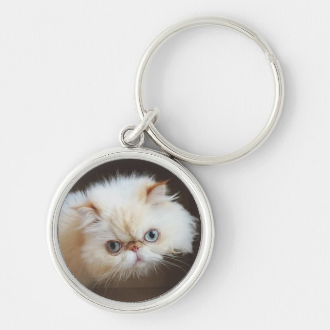 Katt i en boxas rund silverfärgad nyckelring (Framsidan)