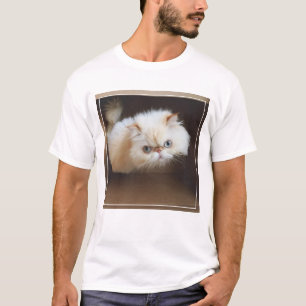 Katt i en boxas tee