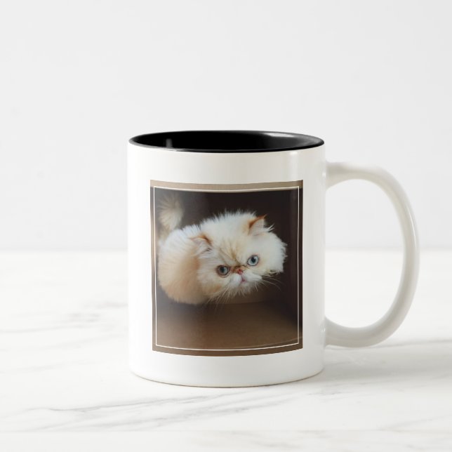 Katt i en boxas Två-Tonad mugg (Höger)
