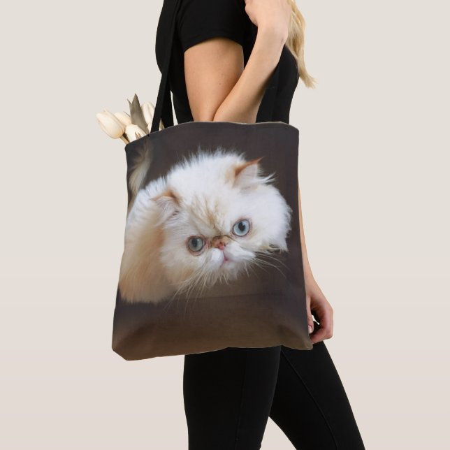 Katt i en boxas tygkasse (Närbild)