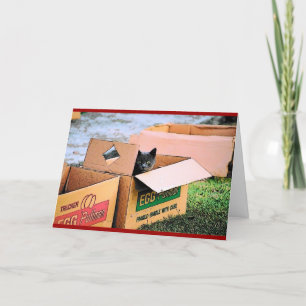 Katt i en boxasjulkort helgkort
