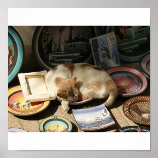 Katt i en h...Bowl Poster