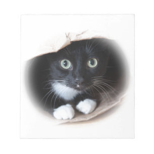 Katt i en hänga lös anteckningsblock