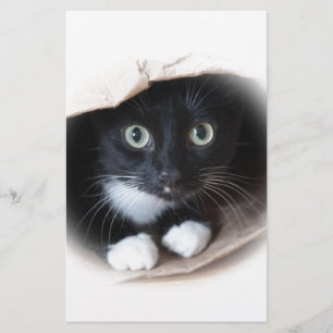 Katt i en hänga lös brevpapper