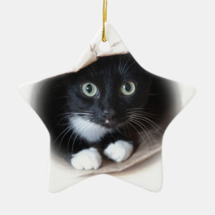 Katt i en hänga lös julgransprydnad keramik