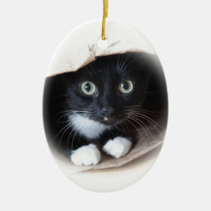 Katt i en hänga lös julgransprydnad keramik