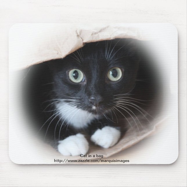 Katt i en hänga lös musmatta (Framsidan)